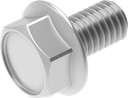 Sperrzahnschraube M6 x 10 VA