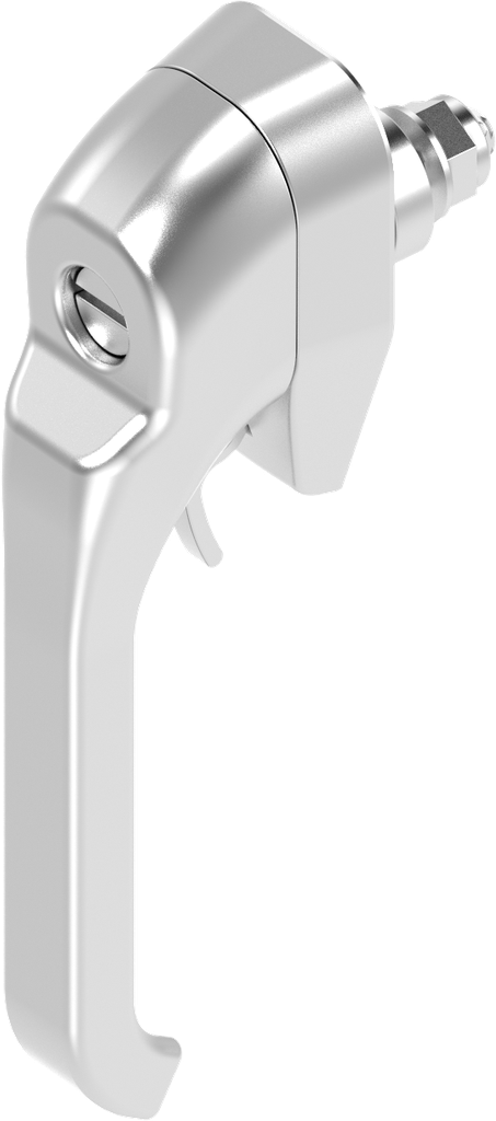 Hebelverschluss mit Betätigung Schlitz 2 x 4 und für Vorhangschloss, Edelstahl AISI 316